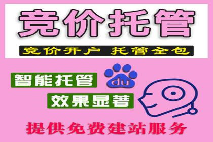 信息流竞价竞争策略：实战案例分析